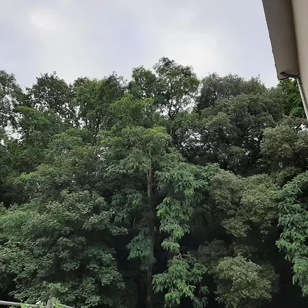 Lisiere De La Foret La Baule-Escoublac