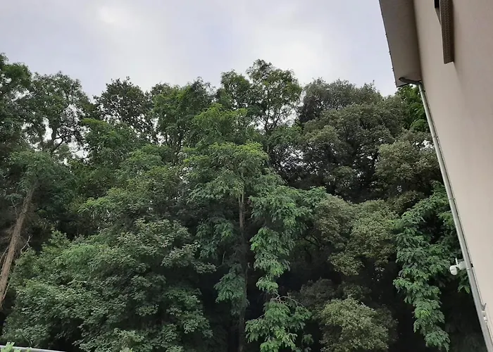 Lisiere De La Foret La Baule-Escoublac